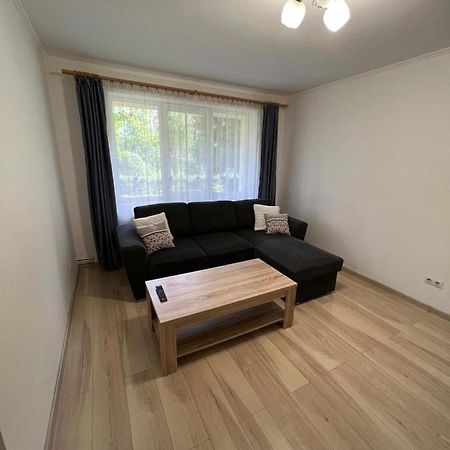 Gold Apartments Baia Mare Exterior foto