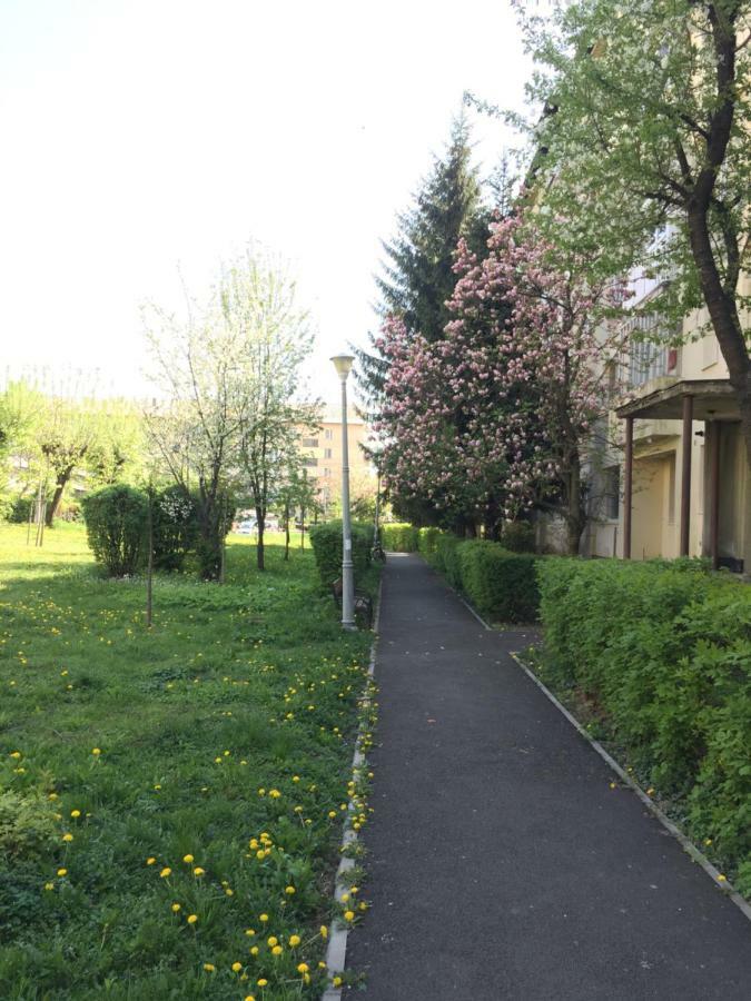 Gold Apartments Baia Mare Exterior foto